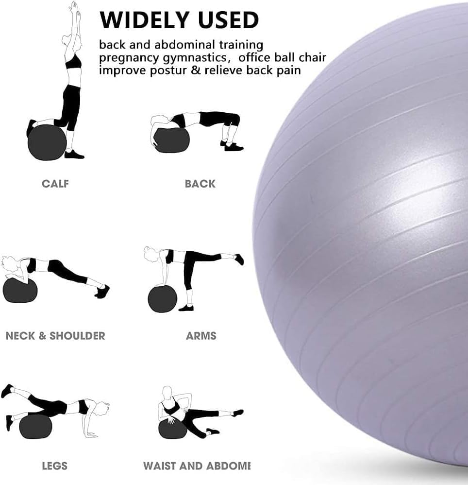 Exercise Ball Yoga Ball Gym Ball Balance Ball – Pilates Swiss Stability Anti-Burst Pregnancy Birthing with Pump for Home Workout & Office Chair (Grey) (75cm) - image 3