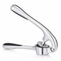 Garlic Press, Stainless Steel Manual Garlic Crusher with Ergonomic Handle, Easy-Clean Kitchen Mincer for Cloves, Ginger and Food Preparation, Silver, XD-81 - image 1