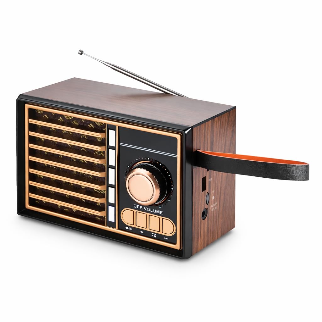 Bluetooth Speaker with FM Radio, Portable Wireless Speaker with RGB Light, Hands-Free Calling, AUX Input, TF Card Support and High-Sensitivity Antenna (Wooden) - image 1