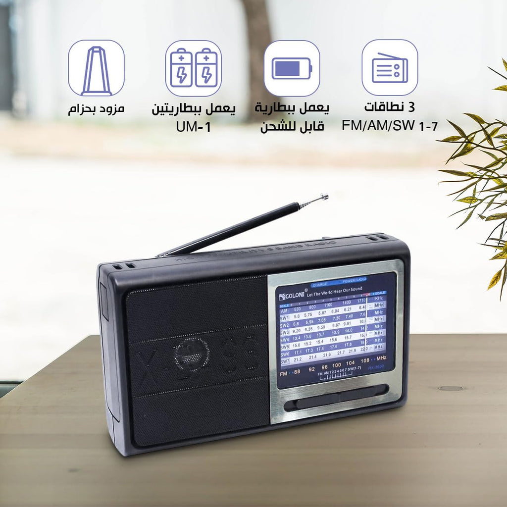 Portable Radio FM AM SW 9 Bands, High-Sensitivity Rechargeable Radio with Speaker and Rod Antenna for Home Travel Outdoor, RX-3050 (Silver) - image 2