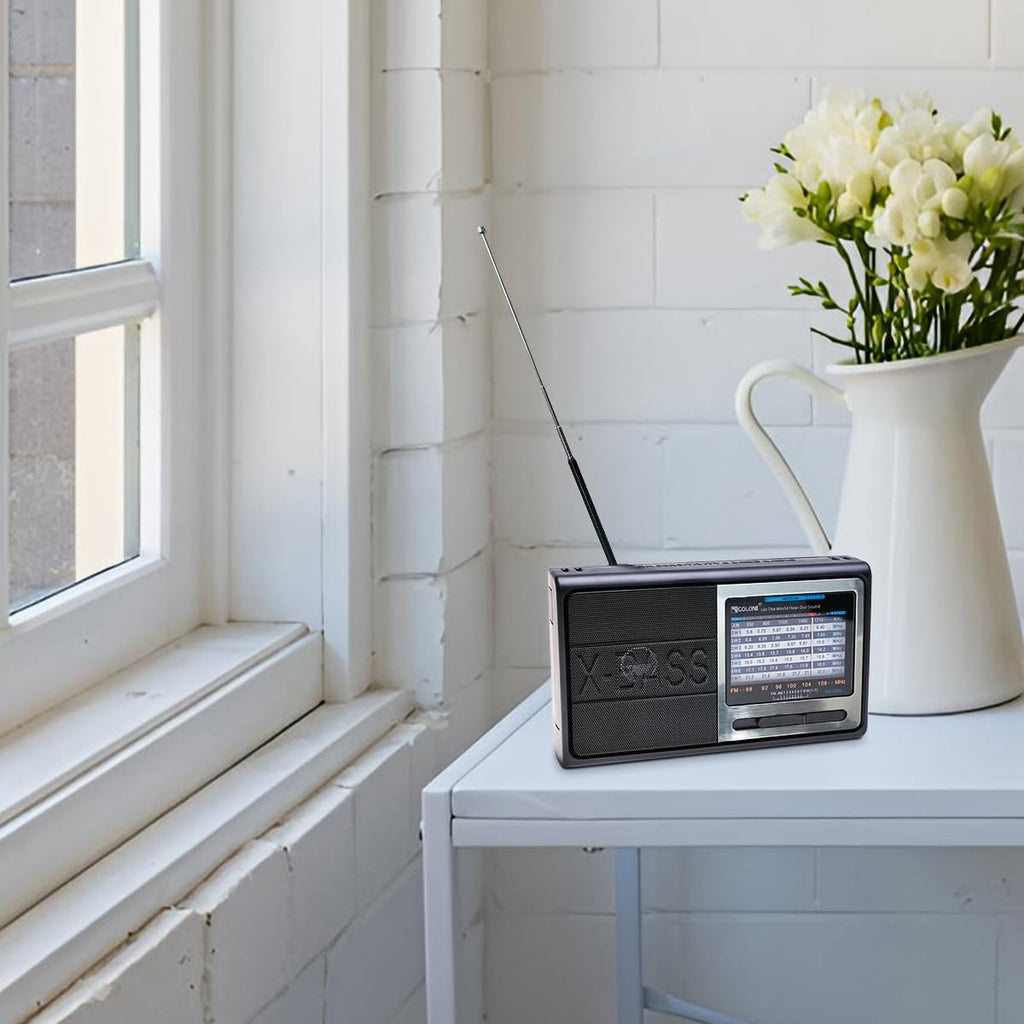 Portable Radio FM AM SW 9 Bands, High-Sensitivity Rechargeable Radio with Speaker and Rod Antenna for Home Travel Outdoor, RX-3050 (Silver) - image 6