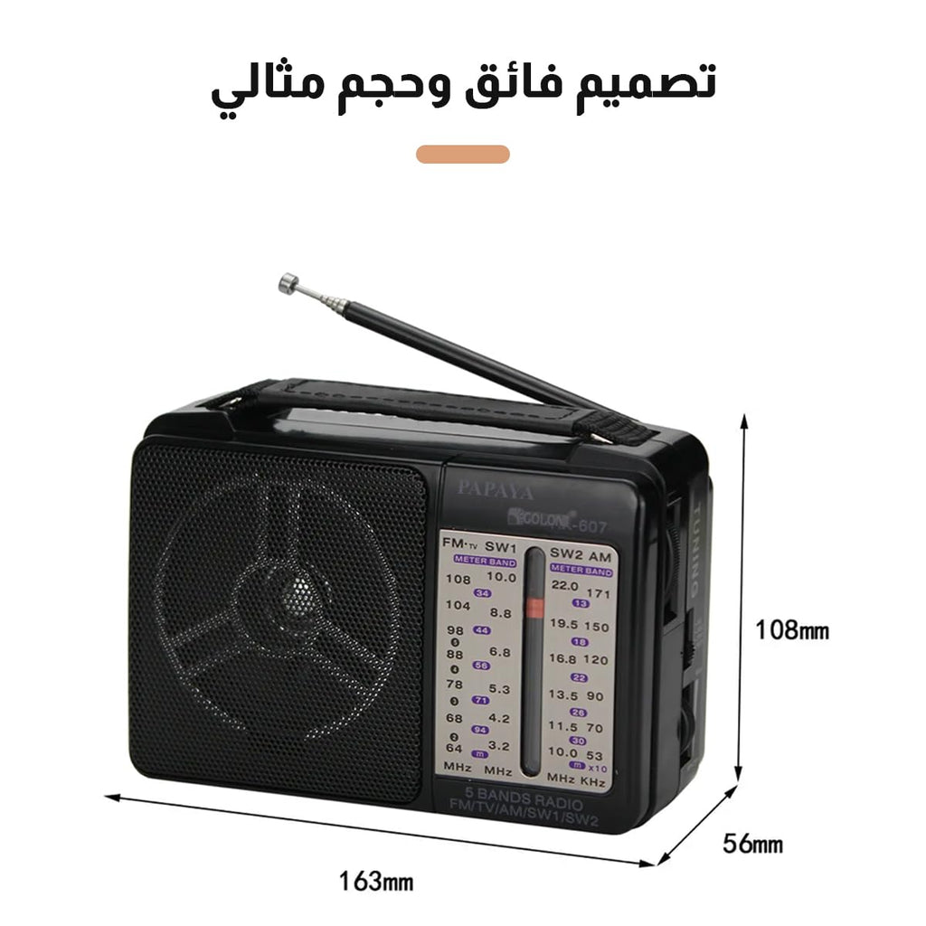 Portable Radio, FM AM SW Multi Band Transistor Radio with High-Sensitivity Reception, Built-In Speaker and Precise Tuning Knob for Home and Travel, Model 607, Black - image 6