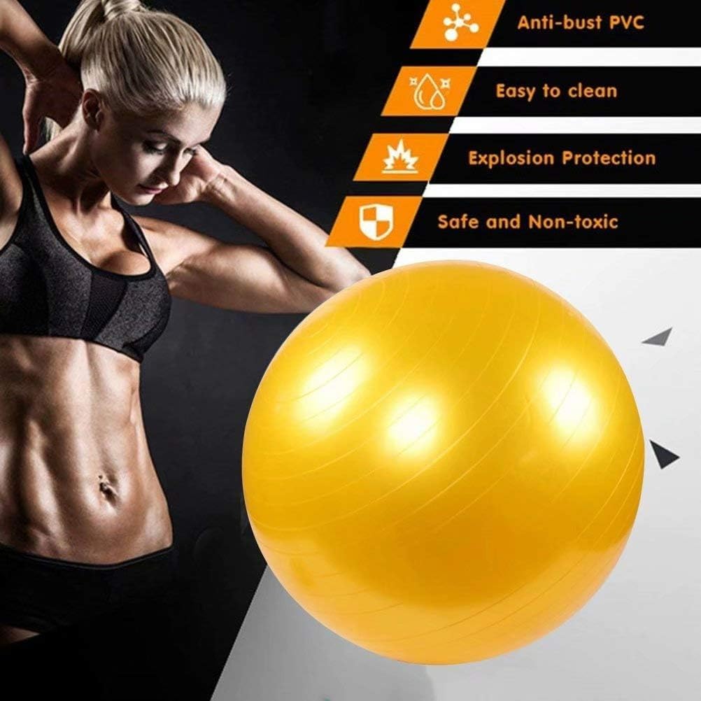 Exercise Ball Yoga Ball Gym Ball Balance Ball – Pilates Swiss Stability Anti-Burst Pregnancy Birthing with Pump for Home Workout & Office Chair, 65 CM - image 3