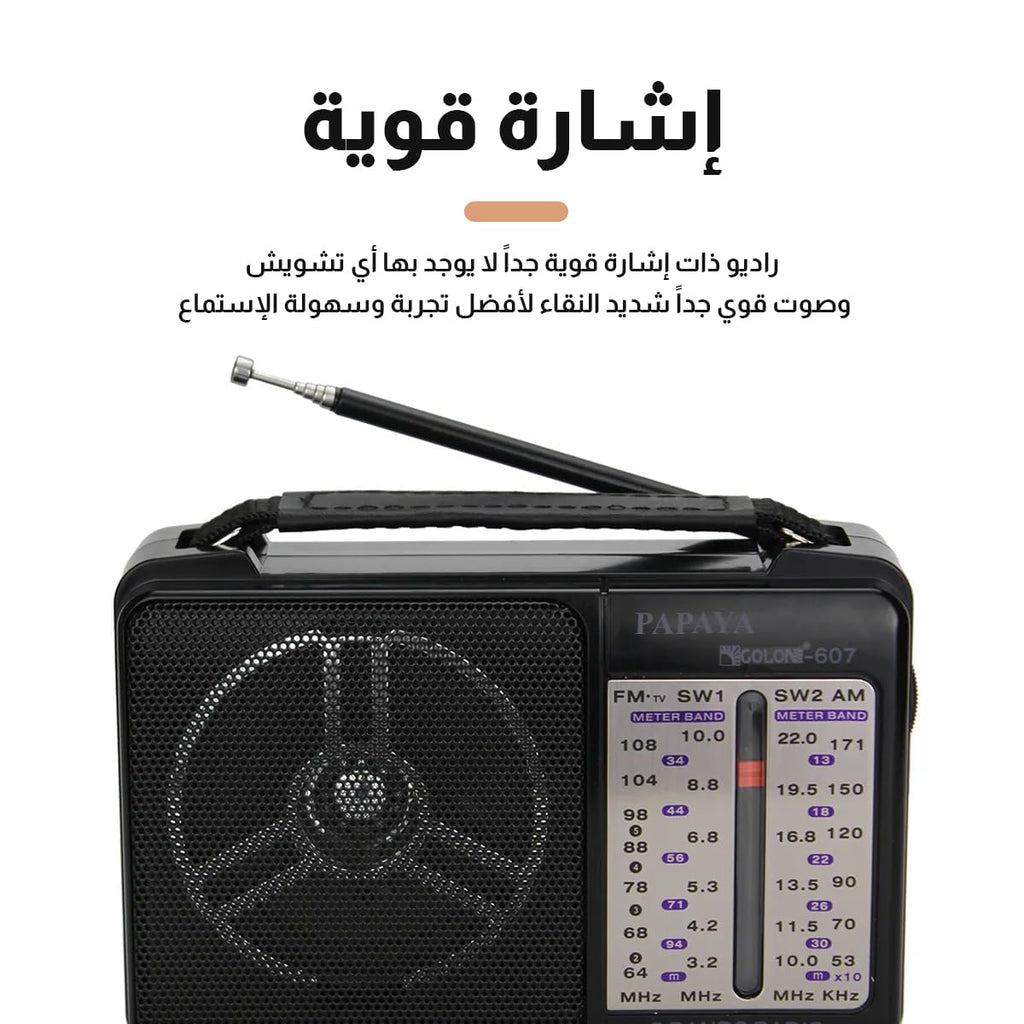 Portable Radio, FM AM SW Multi Band Transistor Radio with High-Sensitivity Reception, Built-In Speaker and Precise Tuning Knob for Home and Travel, Model 607, Black - image 3