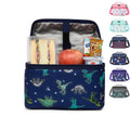 Insulated Lunch Bag 8L, Design Thermal Cooler Tote with Leak-Resistant Lining for Hot and Cold Food, Reusable Meal Carrier for Work, School, Picnic and Travel, BB-545 (Dinosaur) - image 1