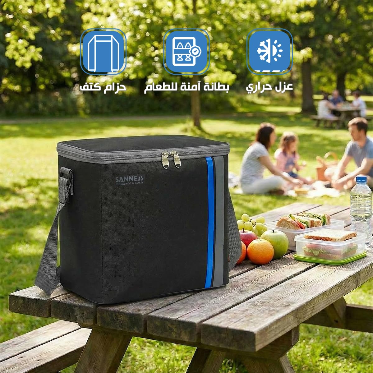 Insulated Lunch Bag 16L Thermal Cooler Bag for Food, Waterproof Leakproof Lunch Box Carrier for Work School Travel Picnic, BB-570 (Black/Blue) - image 2