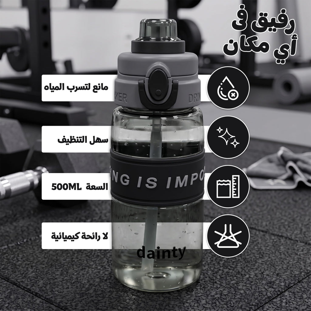 Water Bottle 500ml with Straw, BPA-Free Lightweight Plastic Sports Bottle with Leak-Resistant Lid for School, Gym, Fitness, Outdoor and Travel Use, FL-1315, Grey - image 2
